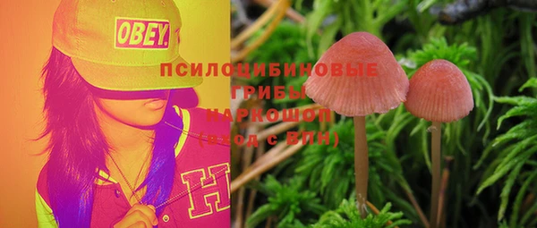 прущий лед Куйбышев