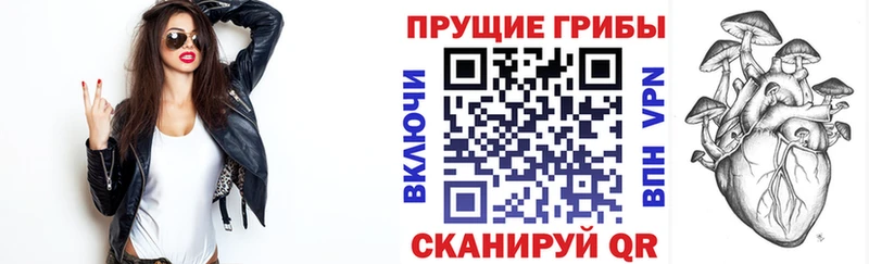 Псилоцибиновые грибы MAGIC MUSHROOMS  Купить закладки  Мензелинск 