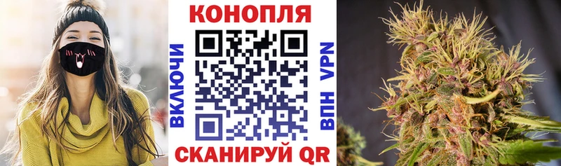 Купить где  Мензелинск  Марихуана Bruce Banner 